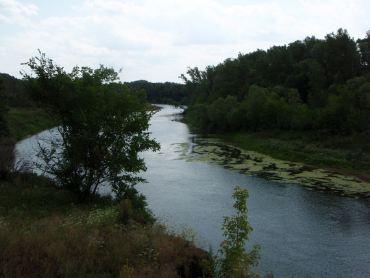 Река Кинель, 19 июля 2009.