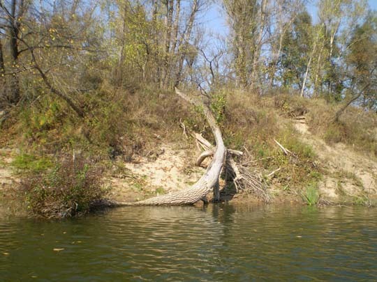Груша на растяжке своими руками Груша на растяжке своими руками